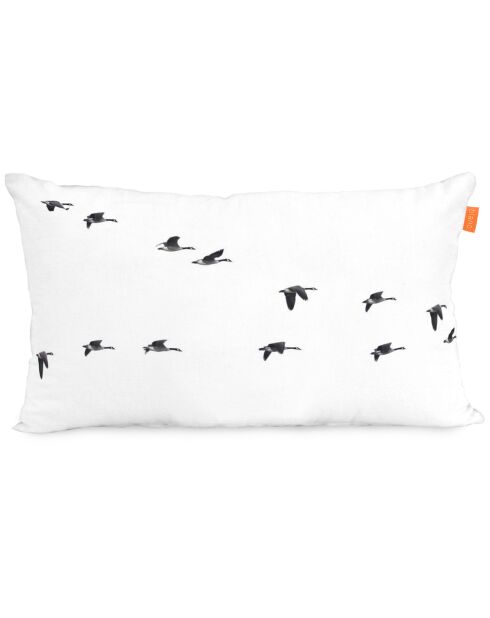 2 housses de coussin Trip blanches & noires - 50x50/50x30 cm
