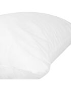 Rembourrage de coussin blanc - 50x30 cm