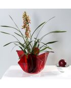 Vase multifonction Drapé rouge transparent - D.45xH.29 cm