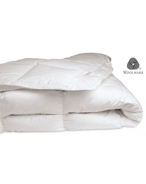 Pack 5 pièces : 2 Oreillers + Protège-Matelas + Couette + Surmatelas - 160x200 cm