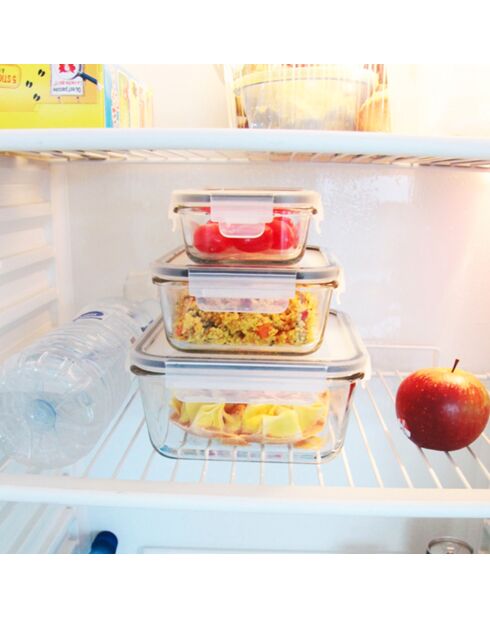 3 Plats special four + couvercles hermétiques transparents