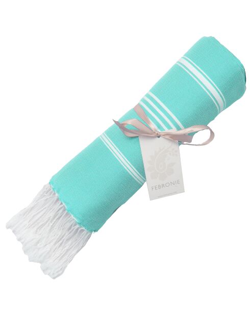 Mykonos Turkoois Klassieke Fouta - 100x200 cm
