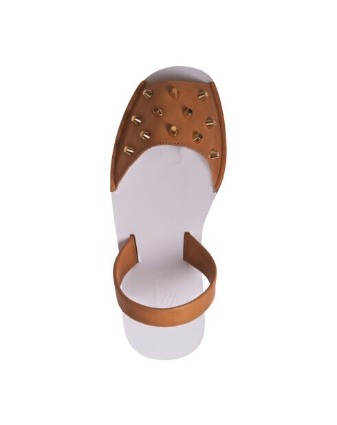 Maria Camel leren klimplanten