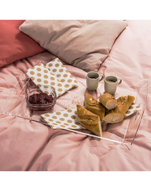Ensemble plateau repas Gaston transparent - 47x35x58 cm