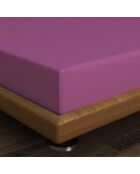 Drap housse renfocré Classic prune