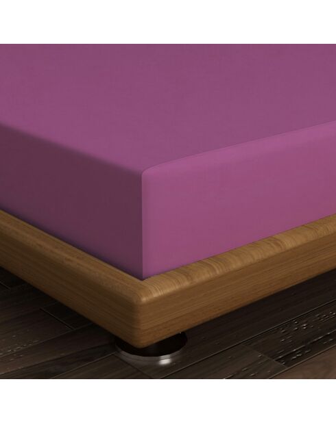 Drap housse renfocré Classic prune