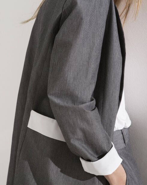 Veste Iggy rayée grise