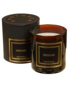 Bougie parfumée  Insidiae au Cyprès - 1 mèche 50h