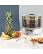 DSY700 Dörrgerät, weiß/grau, 250 W