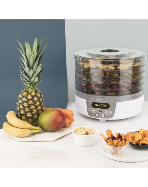 DSY700 Dörrgerät, weiß/grau, 250 W