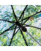 Parapluie Nature automatique noir/vert