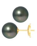 Schwarze Tahiti-Perlenohrringe aus Gelbgold — 9-10 mm