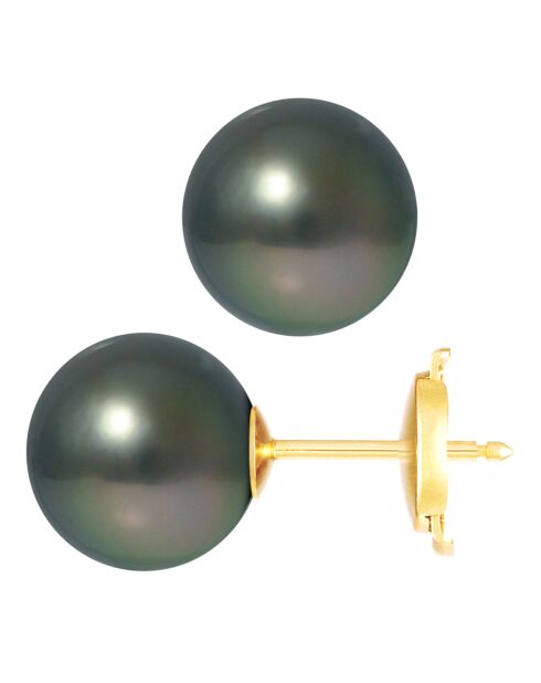 Schwarze Tahiti-Perlenohrringe aus Gelbgold — 9-10 mm