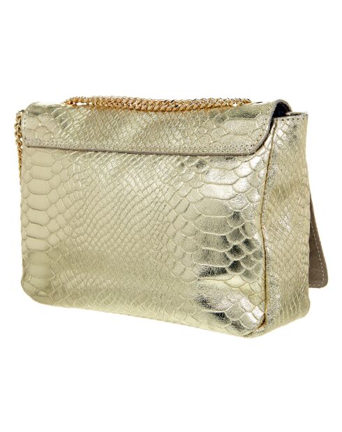 Schultertasche Goldenes Gürteltier aus Leder - 21x15x6 cm