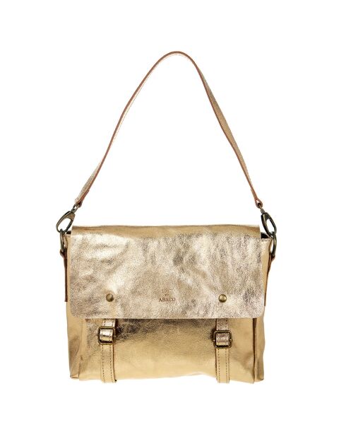 Borsa a tracolla Golden Nyle in pelle - 25x27x3 cm