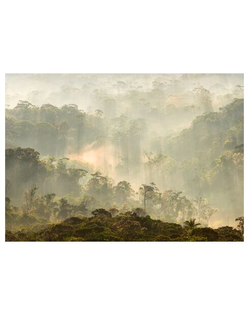 Papel pintado panorámico multicolor de bosque brumoso - 384x270 cm