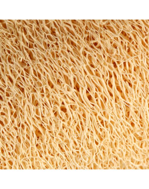 Loofah nature Gommage