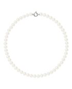 Zimtkette Weißgold Natürliche weiße Süßwasserperlen