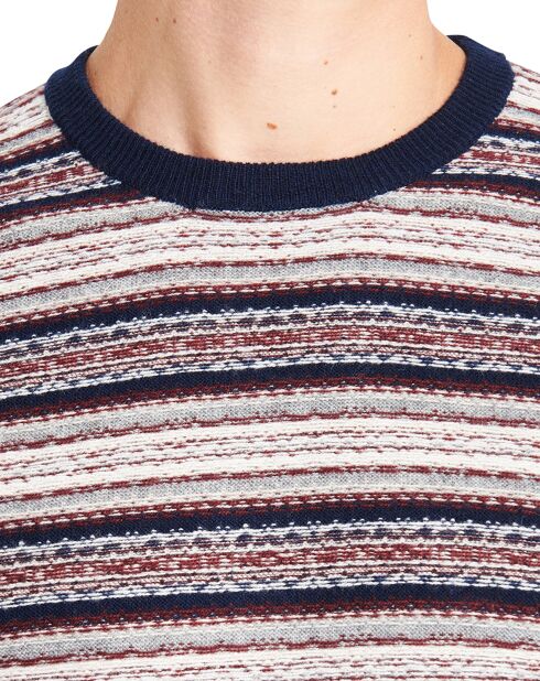 Pull 100% Laine Merinos Rodric rayé multicolore