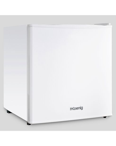 Mini réfrigérateur pose libre FGX480 blanc - 46L