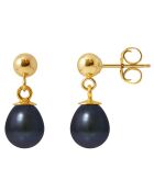 Orecchini in oro giallo con perle d'acqua dolce nere