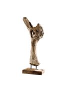 Sculpture branche S Clara teck - 33x25x85 cm
