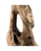 Sculpture branche M Clara teck - 26x22x106 cm