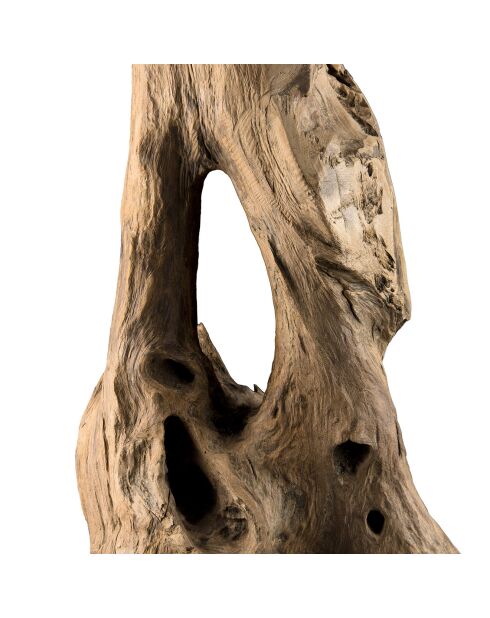 Sculpture branche M Clara teck - 26x22x106 cm