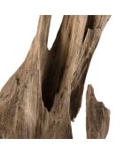 Sculpture branche M Clara teck - 26x22x106 cm