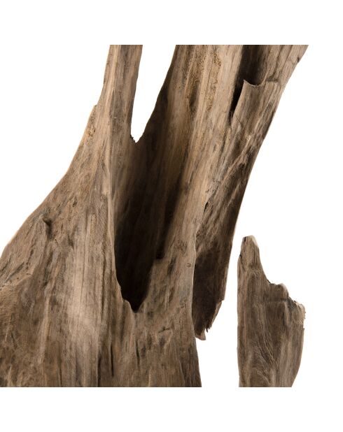 Sculpture branche M Clara teck - 26x22x106 cm
