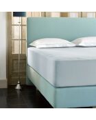 Drap housse jersey Case bleu ciel