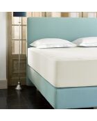 Drap housse jersey Case ivoire