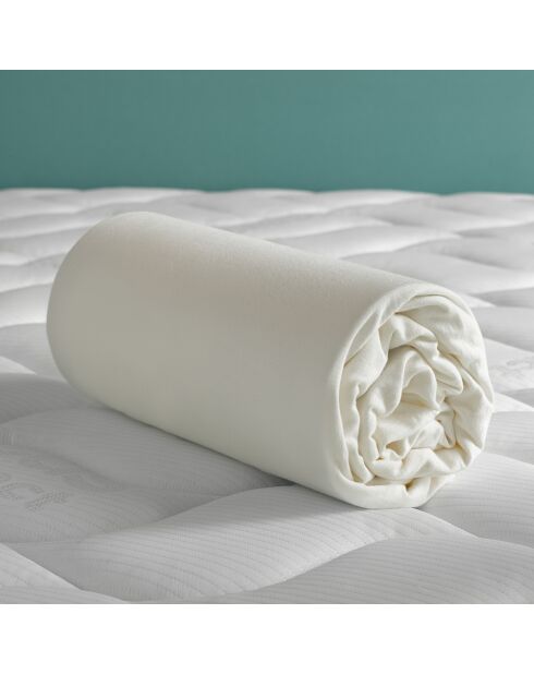 Drap housse jersey Case ivoire