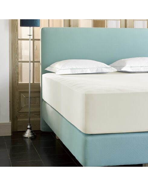 Drap housse jersey Case ivoire