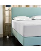Drap housse jersey Case gris clair
