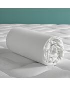 Drap housse jersey Case blanc