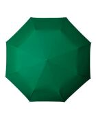 Parapluie Résistant au vent vert