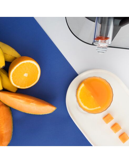 Vertikaler Vitamin+-Saftextraktor mit unterer Rotation, Silber, GSX24, 400 W