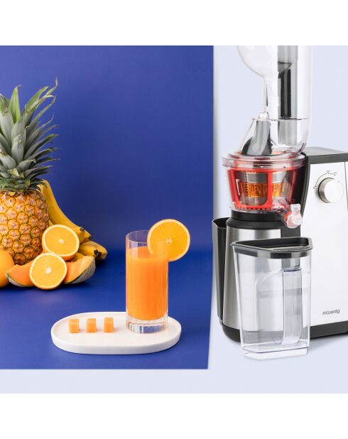 Extracteur de jus vertical lower rotation Vitamin + argenté GSX24 - 400W