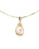 Angelina Anhänger und Kette aus Gelbgold