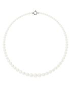 Collier Or Blanc Rang de Perles d'Eau Douce blanc naturel
