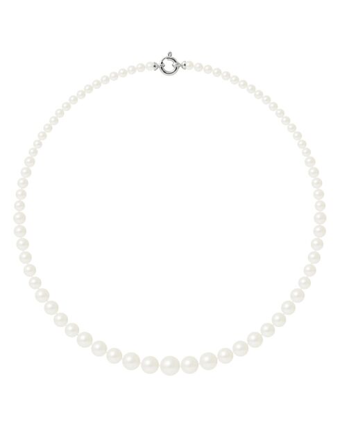 Collier Or Blanc Rang de Perles d'Eau Douce blanc naturel