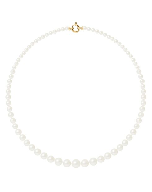 Collier Or Jaune Rang de Perles d'Eau Douce blanc naturel