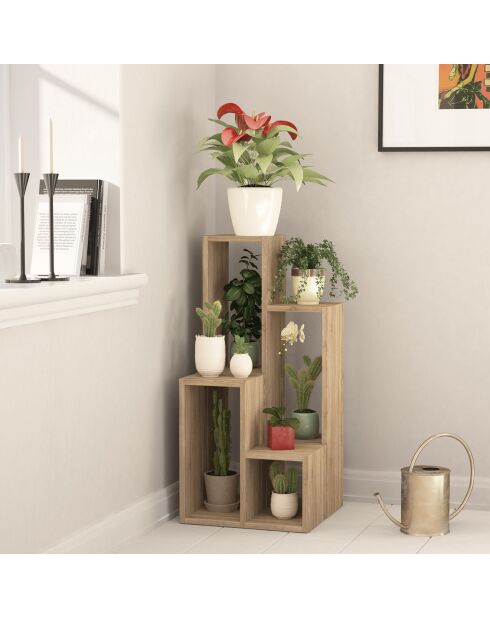 Bibliothèque Sule chêne - 20x84x89 cm