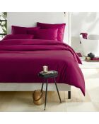 Parure housse de couette  100% Satin de Coton Olivia betterave