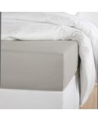 Drap housse Olivia gris