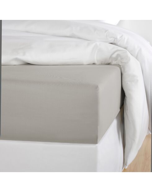 Drap housse Olivia gris