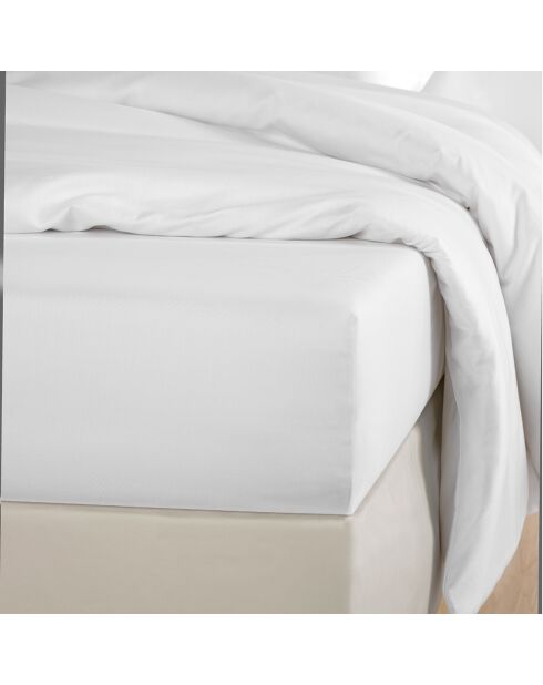 Drap housse Olivia blanc