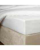 Drap housse Bumblebee blanc