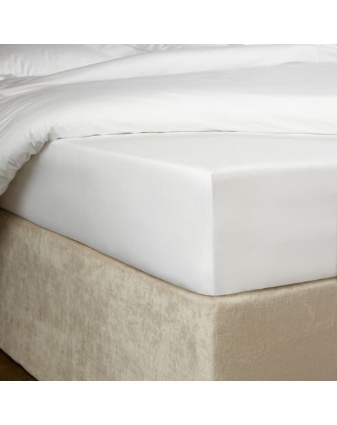 Drap housse Bumblebee blanc